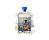  ETSU Gin Japan 700 ml